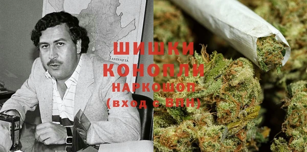spice Арсеньев