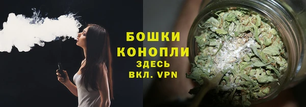 spice Арсеньев