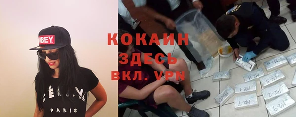 spice Арсеньев
