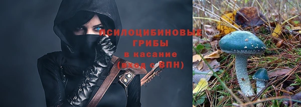 spice Арсеньев