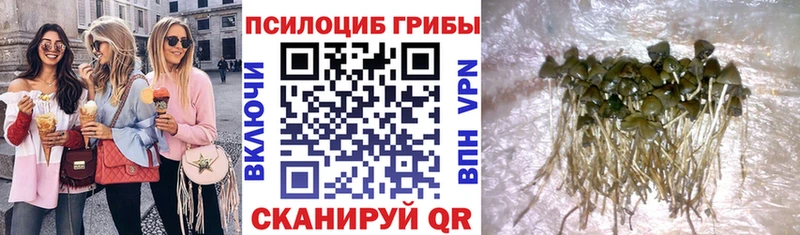 Галлюциногенные грибы мухоморы shop официальный сайт Арск